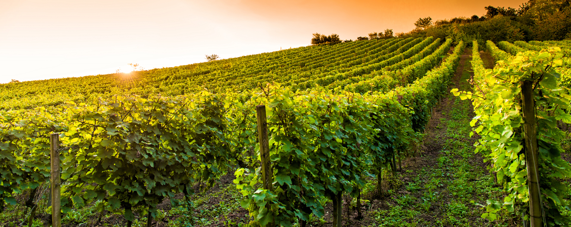 tours_champagne_1